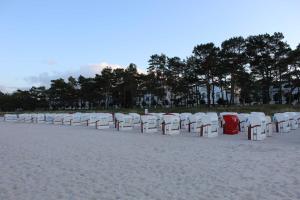 - une rangée de chaises blanches sur la plage dans l'établissement Villa Elfeld 2 Whg_ 718, à Binz