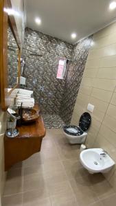 a bathroom with a toilet and a sink and a shower at CentralHome Ap1 in Sighişoara