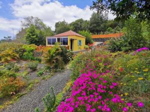 einen Garten mit rosa Blumen vor einem gelben Haus in der Unterkunft Iraña del bosque in Breña Baja