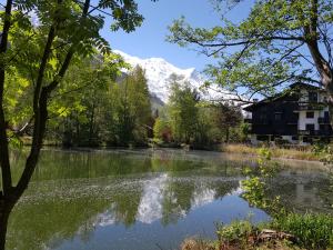 a view of a lake with a mountain in the background at bel appartement , son jardin et le lac in Chamonix-Mont-Blanc