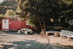 grupa stołów piknikowych i drzewo w obiekcie Casa rural con piscina en Hoya de Tunte - 4 w mieście San Bartolomé