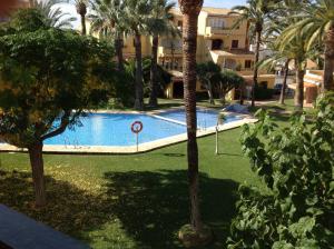 a swimming pool with palm trees and a building at Urbanizacion primera línea de playa in Denia