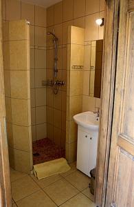 W łazience znajduje się prysznic i umywalka. w obiekcie Pensjonat Rybaczówka w mieście Giżycko