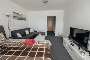 a living room with a couch and a flat screen tv at Apartmán 15 MyMara in Bešeňová