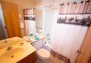 a bathroom with a toilet sink and a shower curtain at Mountain Lodge at Okemo-1Br Fireplace & Updated Kitchen condo in Ludlow