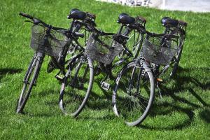 two bikes with baskets parked on the grass at Hotel Roberta Alpine Adults only in Livigno