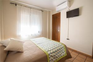 a bedroom with a bed with a television and a window at Hostal El Gallo in Marbella