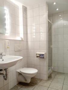 y baño con aseo, lavabo y ducha. en Jakoberhof, en Augsburg