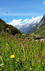 Paesaggio naturale nelle vicinanze dello chalet