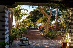 a chair sitting on a patio with palm trees at Parador de La Gomera in San Sebastián de la Gomera