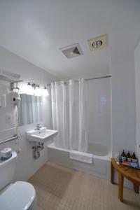 a bathroom with a toilet and a sink and a shower at Hotel Mimosa in New York