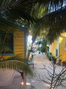 
a very nice looking house with a lot of trees at Colinda Cabanas in Caye Caulker

