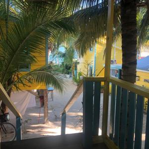 
a beach with palm trees and palm trees at Colinda Cabanas in Caye Caulker
