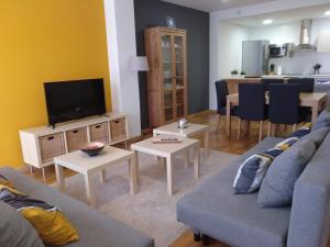TV a/nebo společenská místnost v ubytování Apartamento Turistico Cigüeña de Arguedas