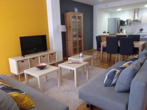 a living room with a couch and a tv at Apartamento Turistico Cigüeña de Arguedas in Arguedas