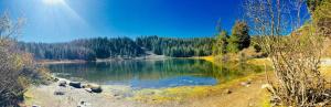 a lake in the middle of a forest at Mountainback #60, Corner Unit in Mammoth Lakes +3 photos