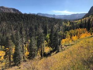 een uitzicht vanaf de top van een heuvel met bomen bij Mountainback #38 in Mammoth Lakes