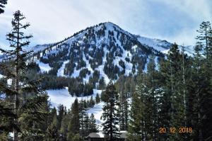 una montaña cubierta de nieve con árboles en el primer plano en Mammoth Ski & Racquet Club #38 - Pet Okay en Mammoth Lakes