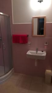 La salle de bains est pourvue d'un lavabo, d'un miroir et d'une douche. dans l'établissement Rekreačné zariadenie Chmelisko, à Pružina