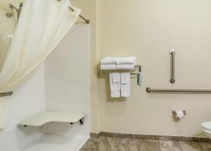 Vannituba majutusasutuses Cobblestone Hotel & Suites - Andrews
