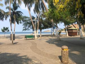 um parque com um banco e palmeiras na praia em Apto a pasos de la playa y restaurantes em Santa Marta