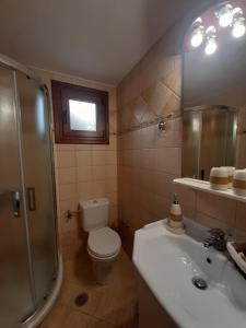 a bathroom with a toilet and a sink and a shower at Stathi's House in Megali Ammos +59 photos