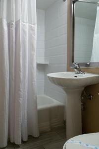 a bathroom with a sink and a shower curtain at Hotel Pentagon in Arlington