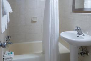 a bathroom with a sink and a toilet and a shower at Hotel Pentagon in Arlington