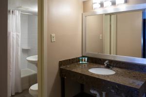 a bathroom with a sink and a toilet and a mirror at Hotel Pentagon in Arlington