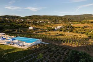 an aerial view of a vineyard with a field of vines at Cabecas do Reguengo in Portalegre