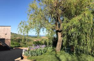 un árbol en la hierba junto a un campo con flores púrpuras en L'Esprit des Vignes, en Saint-Vérand