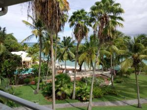 a view from the balcony of a resort with palm trees at Grand studio les pieds dans l'eau, centre ville in Le Gosier