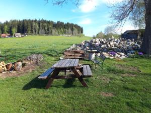 a picnic table in a field with a pile of rocks at Penzion-Na Navsi in Horní Planá