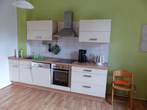 eine Küche mit weißen Geräten und grünen Wänden in der Unterkunft Vis-a-vis Berliner Tor in Schwerin