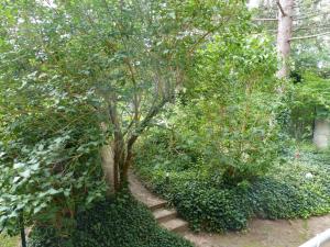un pequeño árbol con un conjunto de escaleras en un jardín en Vis-a-vis-Berliner-Tor en Schwerin