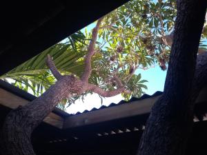 Fotografie z fotogalerie ubytování Villa Yapaplupres v destinaci Saint-Leu