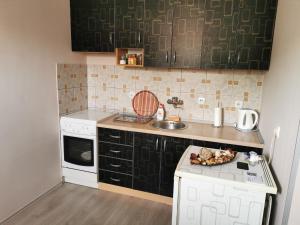 Kuchyň nebo kuchyňský kout v ubytování Apartmani Milica