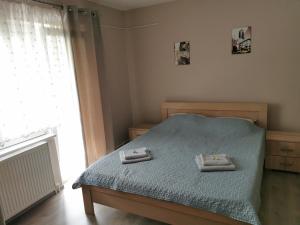Postel nebo postele na pokoji v ubytování Apartmani Milica