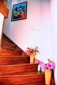 Φωτογραφία από το άλμπουμ του Ankakyaka Apart Hotel σε Mugla