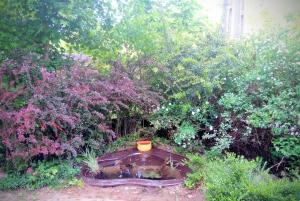 Ảnh trong thư viện ảnh của Mackólak Vendégház és Ökoporta ở Hosszúhétény-Szőlőhegy +112 ảnh