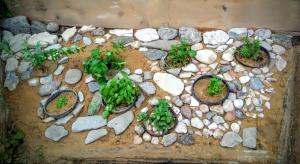 Ảnh trong thư viện ảnh của Mackólak Vendégház és Ökoporta ở Hosszúhétény-Szőlőhegy