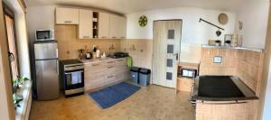 a large kitchen with a refrigerator and a sink at Viktória- neakceptujeme mladé partie in Terchová