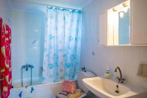 a bathroom with a shower and a sink and a toilet at Dionysia's Apartments in Tsilivi +56 photos