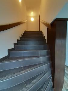 Fotografie z fotogalerie ubytování Nad Hřištěm 441 v destinaci Horní Planá