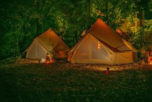 two tents sitting on the grass at night at Into the Green Glamping - Chestnut in Markt Nordheim