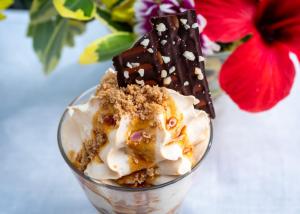 a dessert with chocolate and ice cream in a glass at Parador de La Gomera in San Sebastián de la Gomera