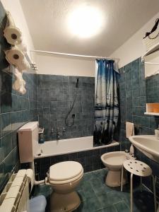un baño con inodoro y lavabo en Ca' Francesca - bilocale a Cesana Torinese, en Cesana Torinese