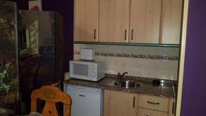 Kuchyň nebo kuchyňský kout v ubytování Apartamentos Castillo Cazorla