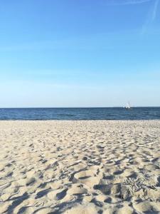 uma praia de areia com um veleiro no oceano em Schwalbennest_ Silke Felix em Sierksdorf