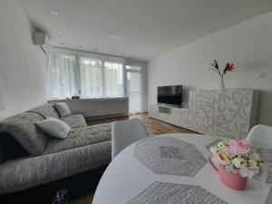 uma sala de estar com um sofá e uma mesa em Mátrix apartman em Békéscsaba